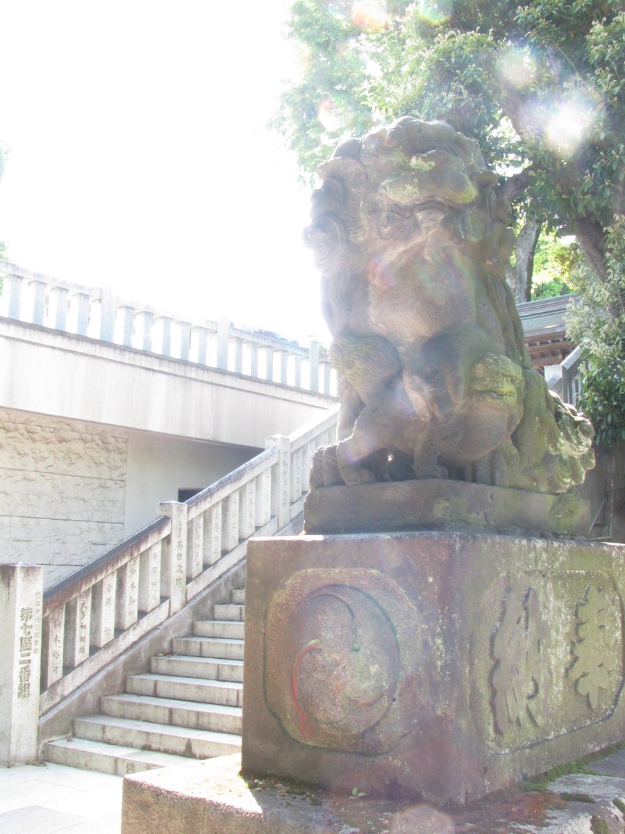 out_of_phase's tweet photo. 5月の写真
桐ヶ谷氷川神社の狛犬
安政6年（1859年）に奉納されたもの
阿行も吽形も子供を抱っこしているのは大変珍しい特徴だそうです

何度ポストしても阿形吽形同時に貼れないので1枚づつ
まずは阿形 https://t.co/MUO2WvqcZP