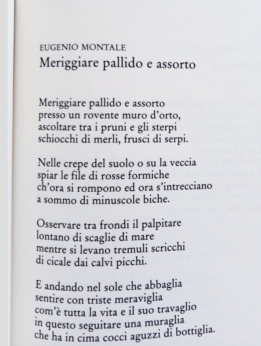 Diversa_Mente's tweet photo. Direi che è perfetta per il periodo
#Montale https://t.co/7Vy697bZAG