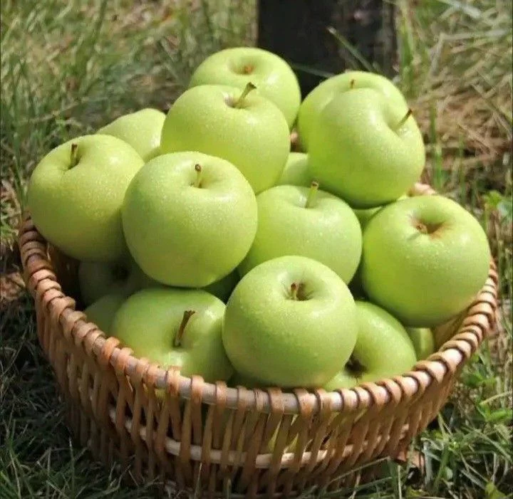 daily_dolce's tweet photo. These apples look too perfect to be real https://t.co/kvgSifulWq