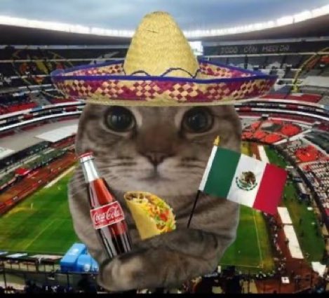 bean_dippy's tweet photo. Viva MEXICOOOO!!!! https://t.co/14JZm5E2Zz