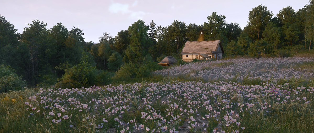 thwippip's tweet photo. Kingdom Come: Deliverance 2 https://t.co/ZSLMaAAsl2