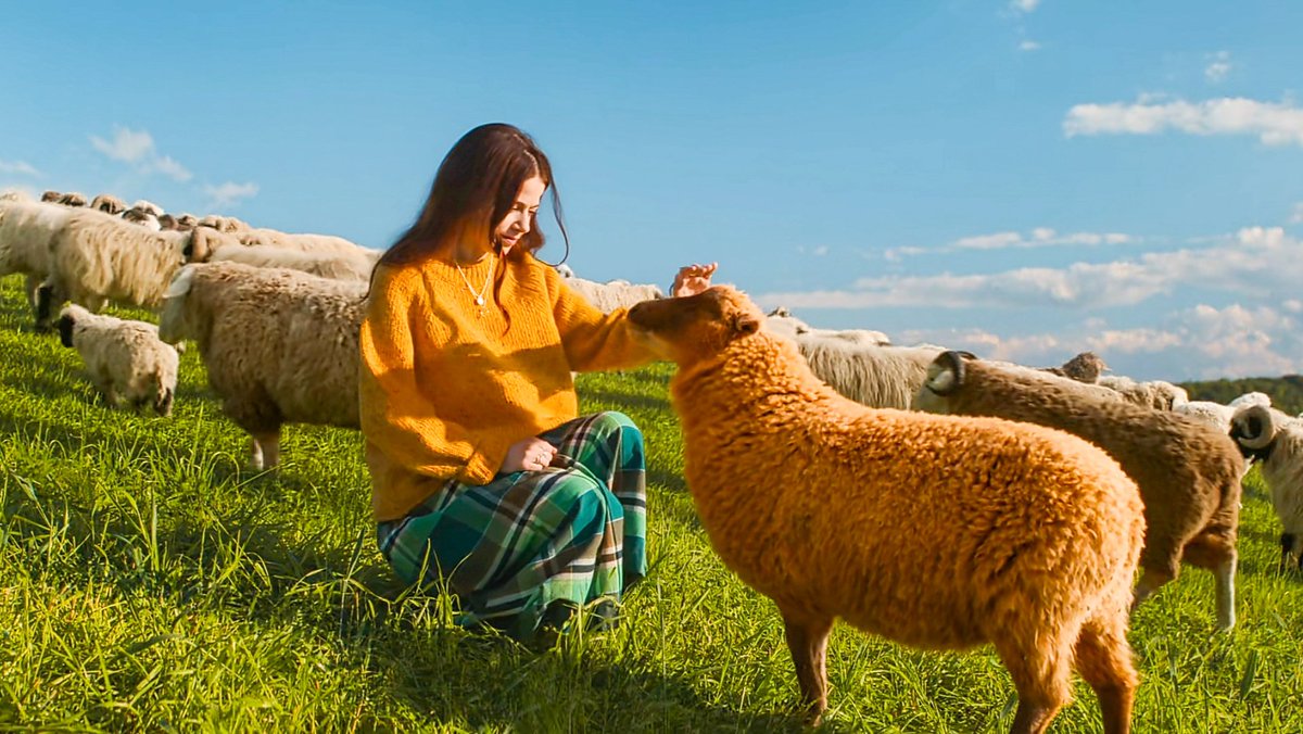 Cinema30sec's tweet photo. The Sheep Detectives (2026)
Director : Kyle Balda

#TheSheepDetectives https://t.co/sW6g1plAmq