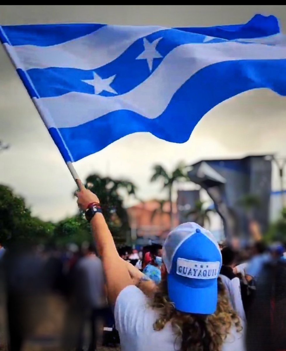 lulagaray's tweet photo. ✨Inicia julio, mes de GUAYAQUIL ✨

A pesar de que vivimos el sinsabor y la zozobra provocados por la ineptitud de quienes la administran, que ninguna de esas sombras sea superior al amor inquebrantable y el orgullo que sentimos por Guayaquil.

Aferrados a la firme esperanza de que vendrán mejores días, pues quienes hoy nos fallan pronto se irán, celebremos con profundo civismo a nuestra amada ciudad.

¡Damita y varón saca tu bandera a toda ventana y balcón! 

🎶soberana en sus empeños
nuestro Dios formó un pensil🎶 ✨