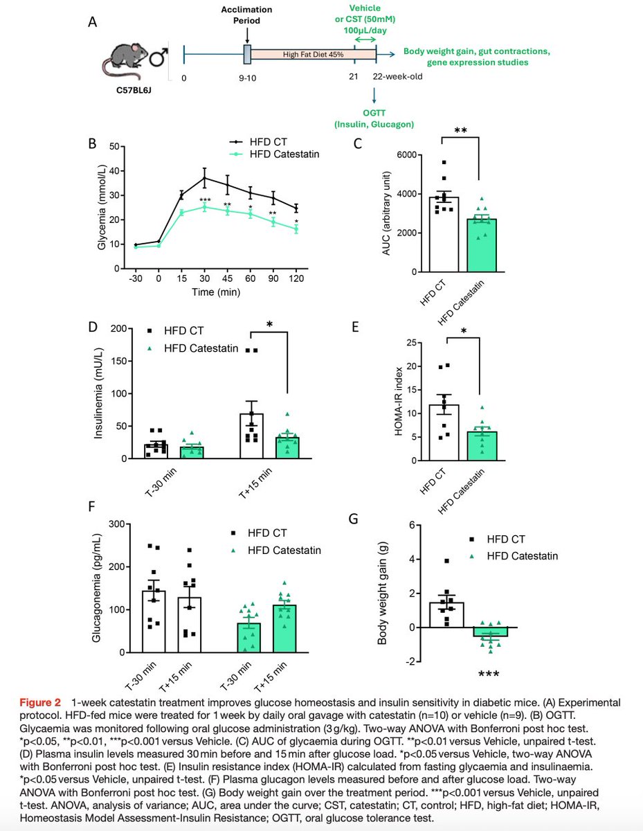 Gut_BMJ's tweet photo. "Catestatin decreases duodenal hypermotility to improve glucose homeostasis in diabetic male mice" via https://t.co/ceu50Oihgm
Read the NEW #GUTScience paper by Abot et al online and open access now!
@druppygill #Type2Diabetes https://t.co/kC81pMc3sx