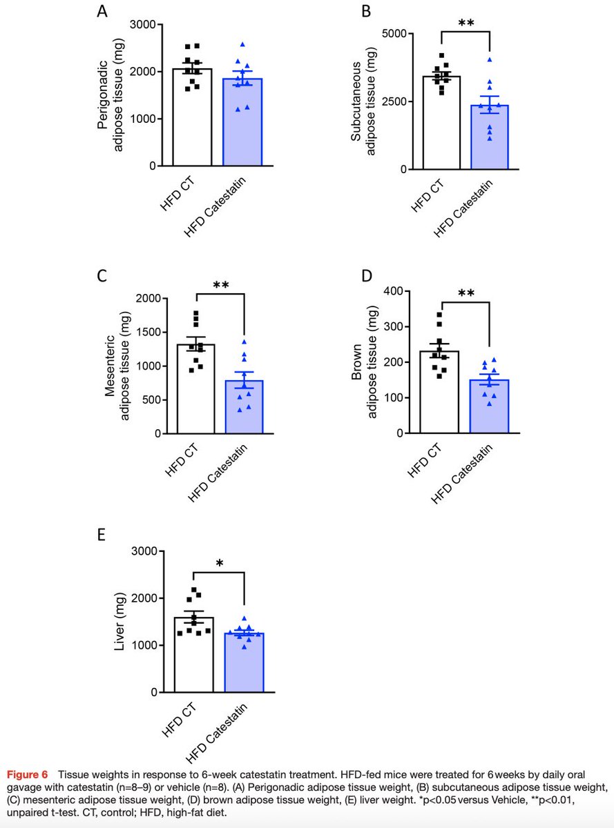 Gut_BMJ's tweet photo. "Catestatin decreases duodenal hypermotility to improve glucose homeostasis in diabetic male mice" via https://t.co/ceu50Oihgm
Read the NEW #GUTScience paper by Abot et al online and open access now!
@druppygill #Type2Diabetes https://t.co/kC81pMc3sx