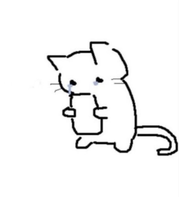 spidermarkken's tweet photo. @skipbreakfast_ gaada karena duitnya gaada https://t.co/MSG6GO8xa7