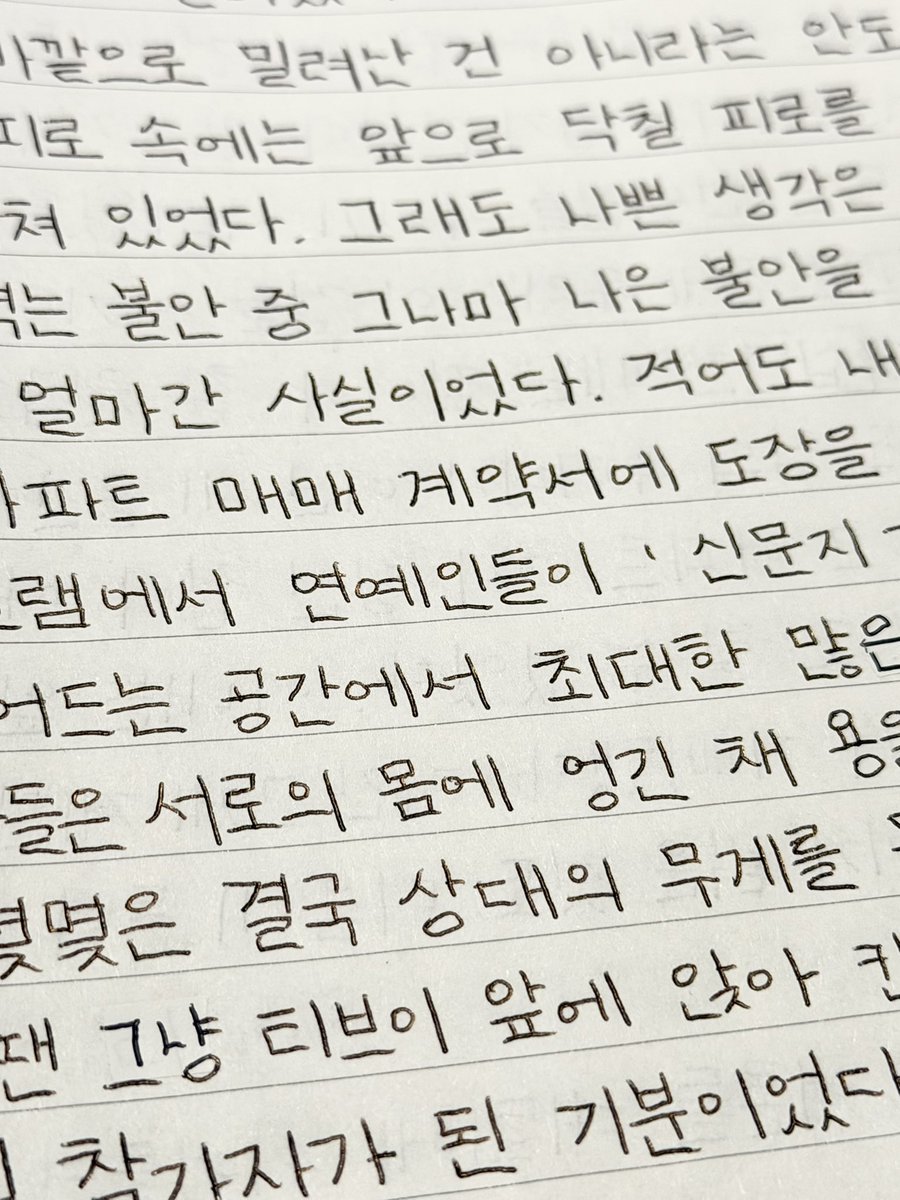 모모 tweet media