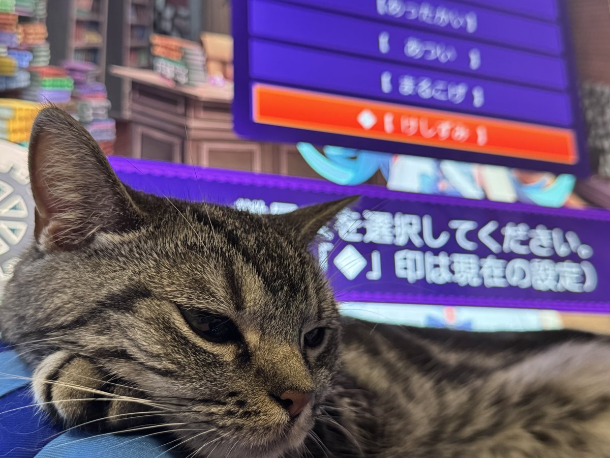 さけ茶 (@sakepon_diary) / Posts / X