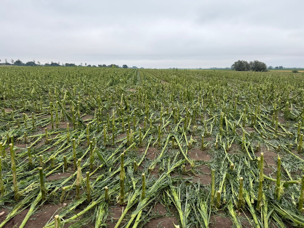 AgroProfil tweet picture