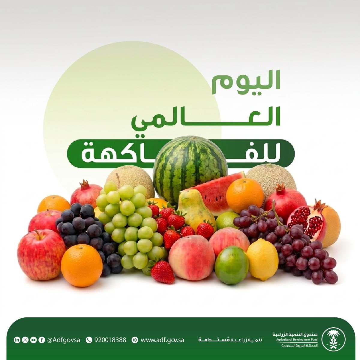AdfGovSa's tweet photo. يساهم #صندوق_التنمية_الزراعية في دعم نمو قطاع الفاكهة ورفع نسبة الإنتاج المحلي بالمملكة، حيث بلغت موافقات الصندوق خلال عام 2025م نحو 1109 قروض بقيمة تجاوزت 254 مليون ريال. 

#اليوم_العالمي_للفاكهة https://t.co/SNlr8OW6I2