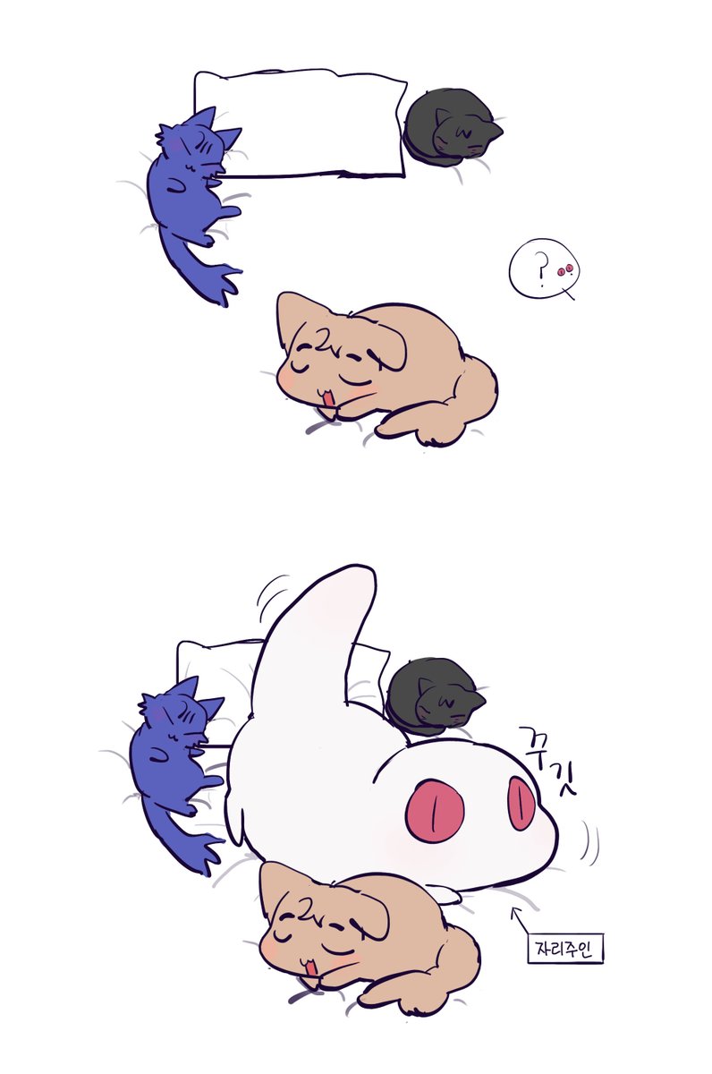 mulumpyoye's tweet photo. 😴 https://t.co/RXdaFRY92Y