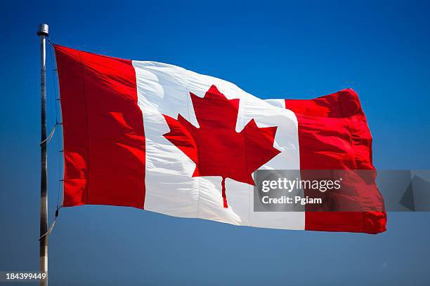 stuberk625's tweet photo. @AntiTrumpCanada Notify the world
To celebrate our neighbors
To the north today!
- Haiku by Stu
#haikufeels #notify
#CanadaDay https://t.co/tI8YTg7laT