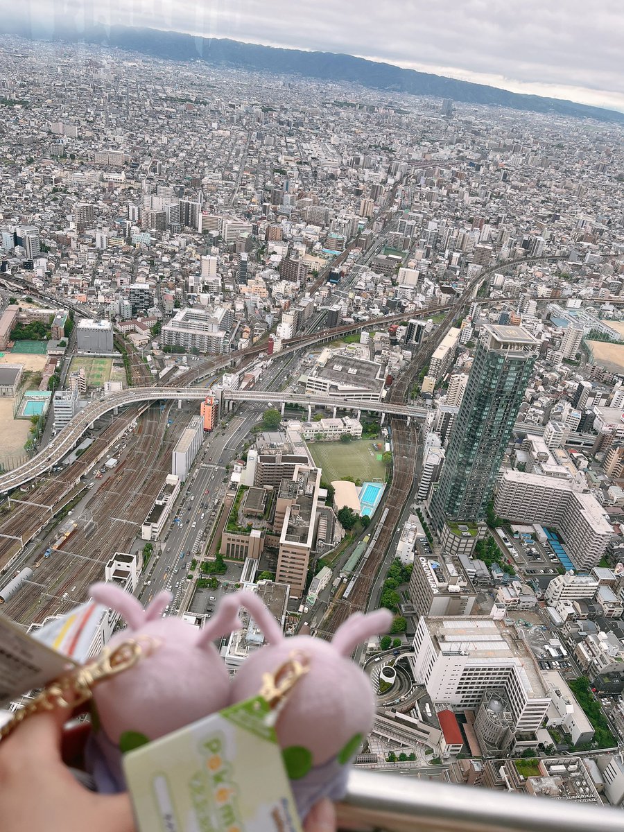 h0_p0ke's tweet photo. 先日Musashiさんとブルーベリー狩りに行ってきました！ブルーベリー食べるの夢中で全然写真撮ってなかった🫐
また一緒に沢山お出かけしましょうね🥰 https://t.co/v2nlTe8nfA
