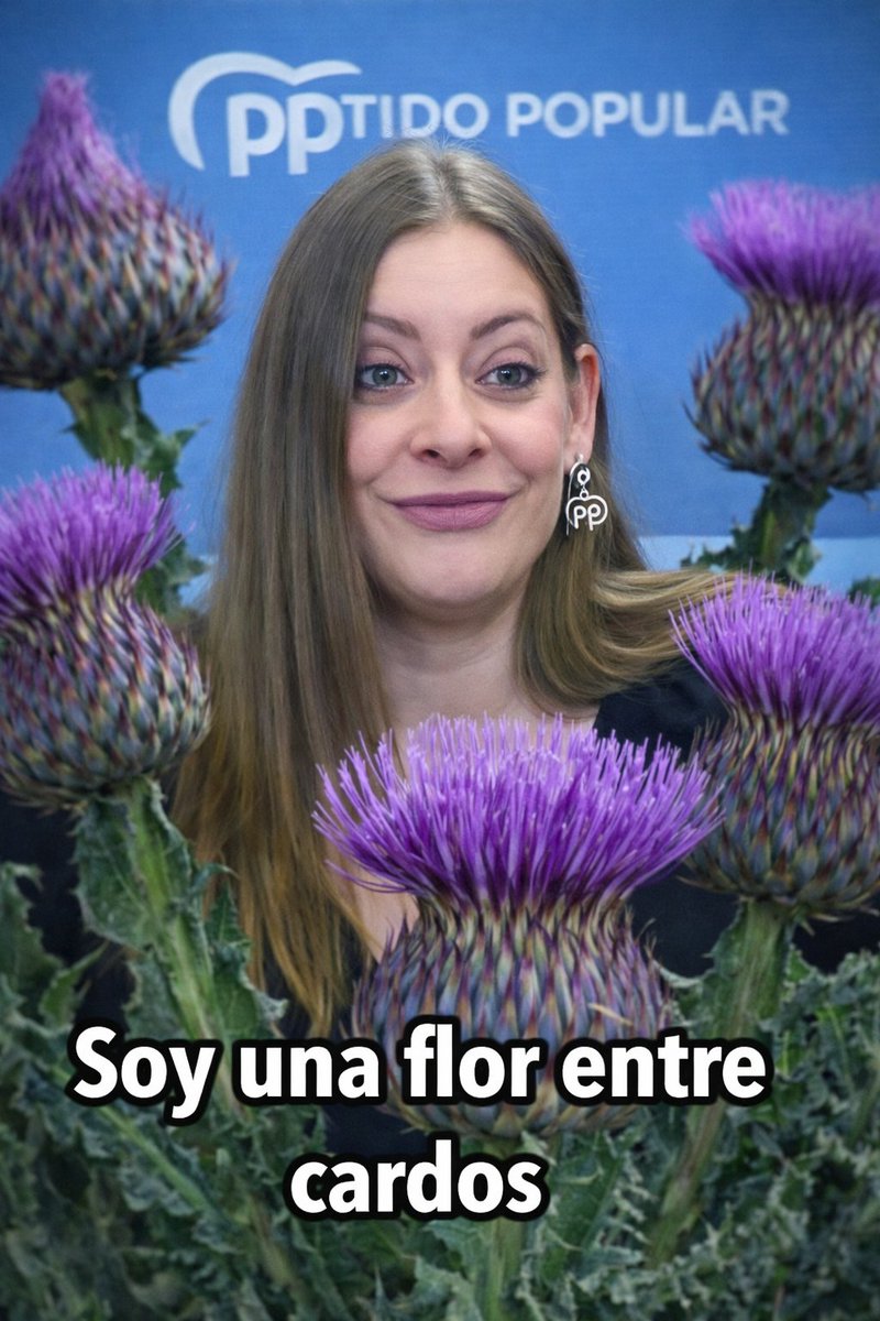 ifercu1's tweet photo. @EsterMunoz85 SINVERGUENZA! https://t.co/KkY8Km35IG