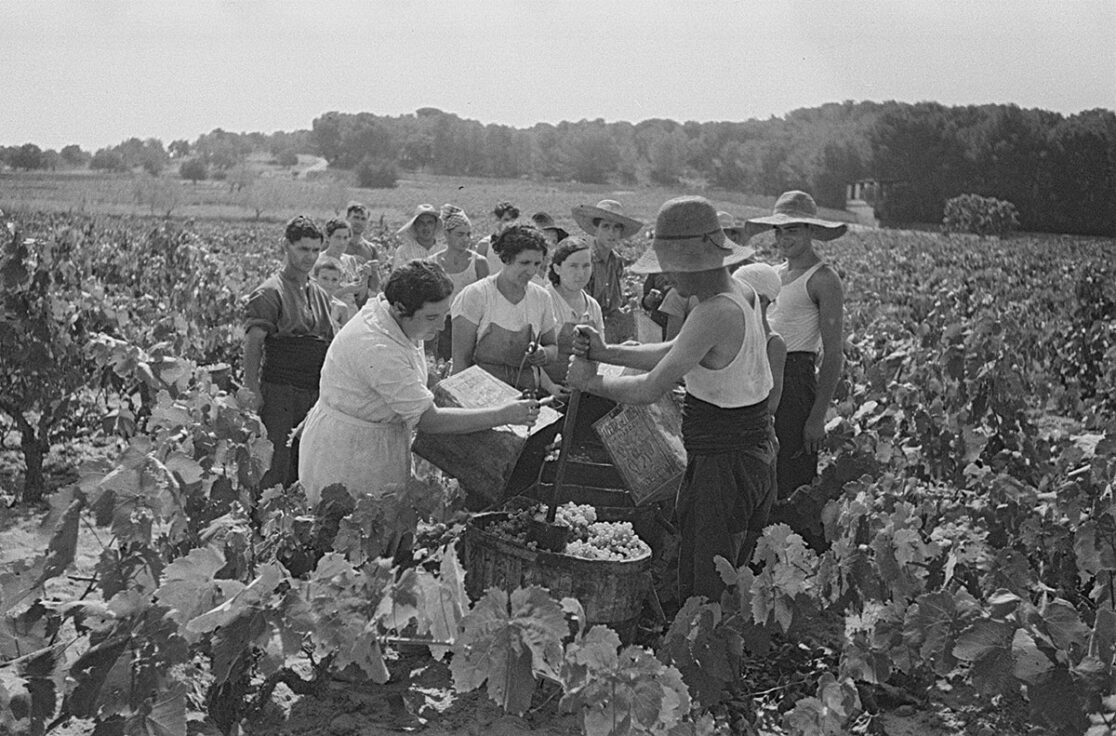 prolovener's tweet photo. Scènes de vie dans une collectivité paysanne de la CNT pendant la révolution espagnole. https://t.co/Ot58g2wr9f