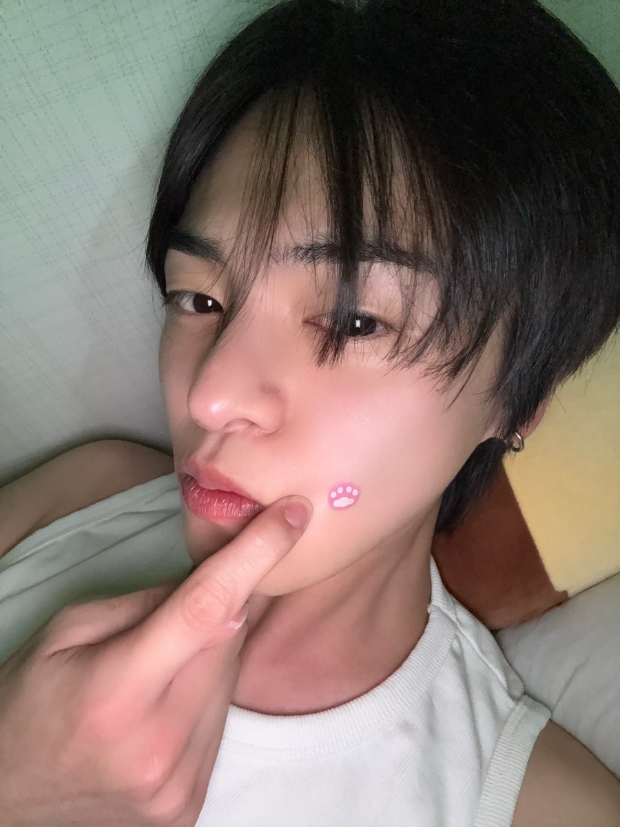 katairio's tweet photo. 📱 260701 LEO +💬 update! 
 [10:39PM KST]  

🦁 lg apaaaa
🦁 aku dapet pimple patch dari dd (maknae) wkwkwk 
🦁 aku biasanya jarang bgt ada jerawat, tp hari ini special!!!!!

#LEO #리오 #알파드라이브원 https://t.co/X3VGWpLw6U