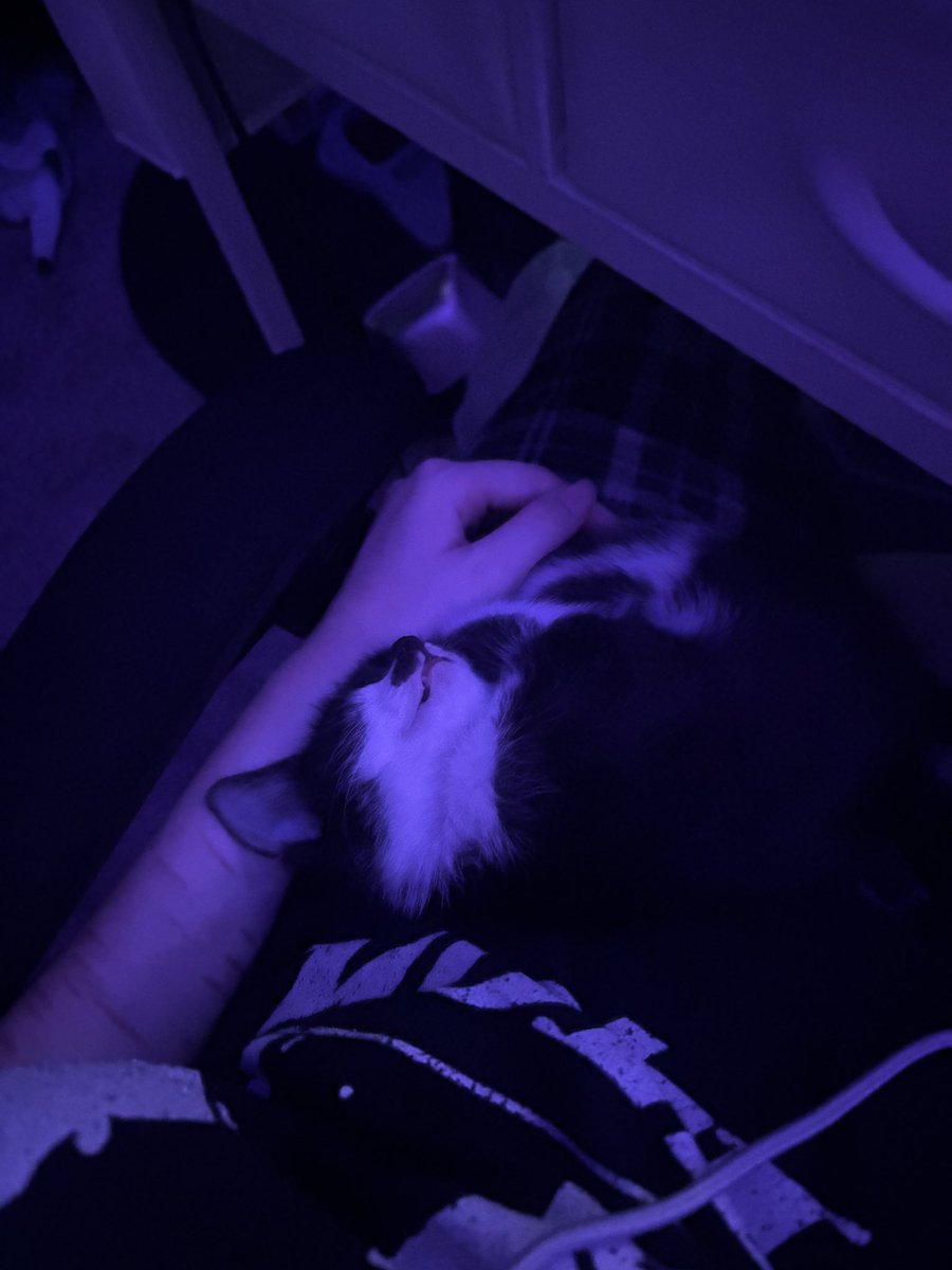 DigitalNymphh's tweet photo. My babygirl🖤 #moothunt〃・ #wl #edtwt #shedtwt https://t.co/H8zzPfrOtF