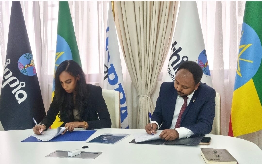 TOPPANSec_Ethio's tweet photo. TOPPAN is pleased to announce the signing of a MoU with @pr_mot_ET . This partnership leverages virtual reality (VR) to showcase the country’s rich cultural heritage and create more engaging visitor experiences.

Through this collaboration, the parties will: 
1/3 https://t.co/AkJ8ACsQvB