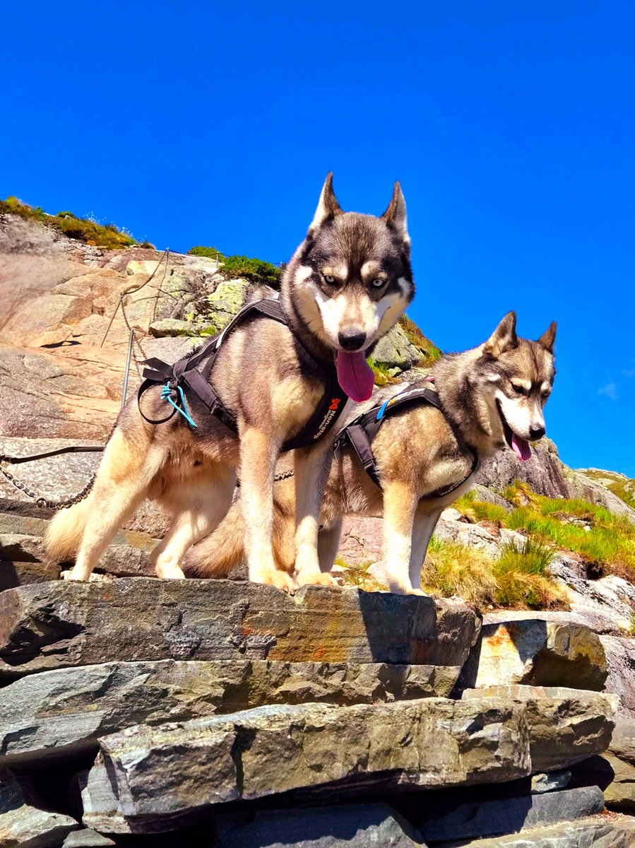 Jenanime4eva's tweet photo. @Regiane_75 @milklaine @ANGELBUFF33 @mymuseandi @AnaManning21 @sar185a @bewareofgobbi @michelleabelle @_DainBramaged A challenging hike and scramble up to Kjeragbolten! 💪🏻😘
​
​Absolutely worth it for the incredible views! 😍👍🏻🇳🇴 https://t.co/Kjt3UeBlHA