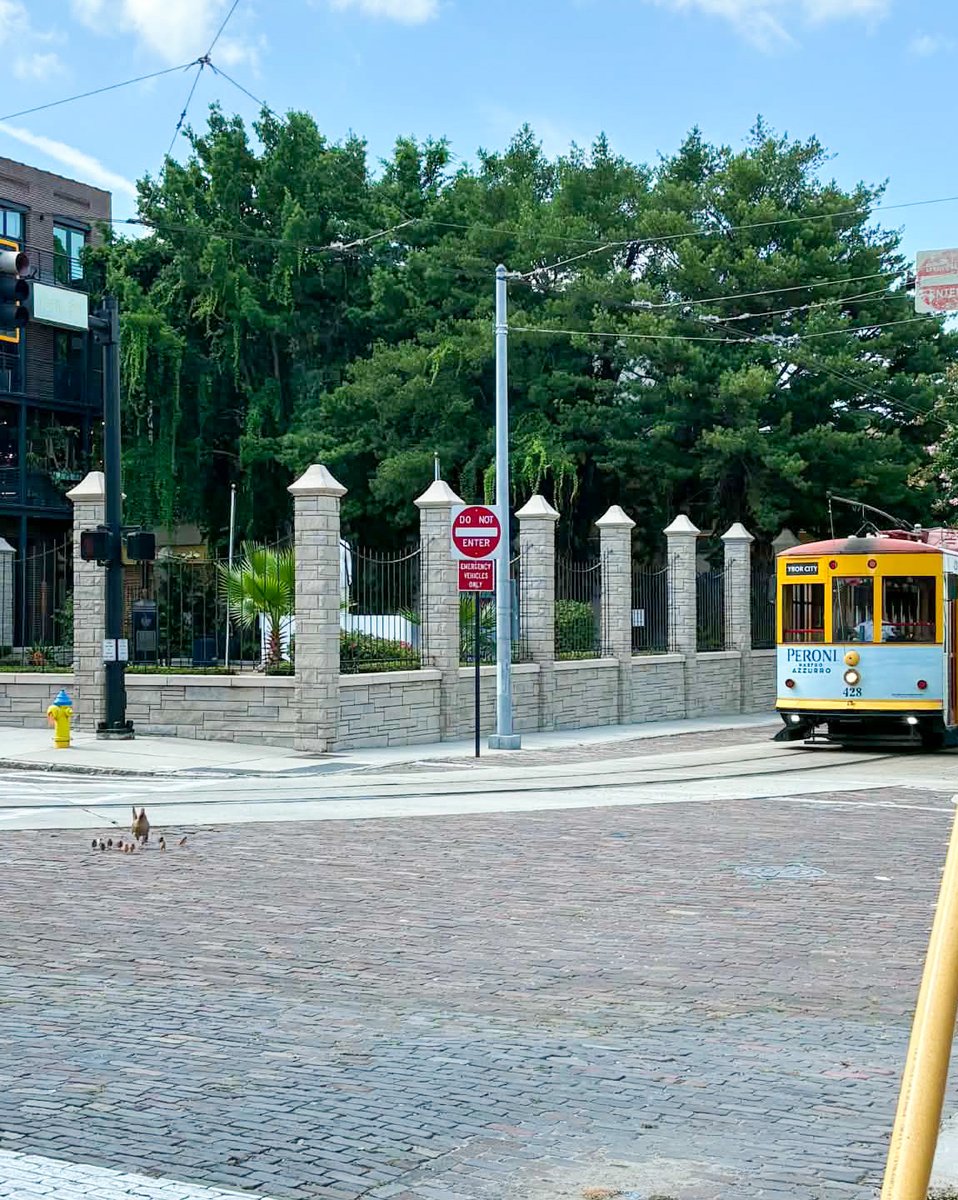 TampaStreetcar's tweet photo. Us: "Reminder, please stay off the tracks."
@yborchickens: “This is our city!”

😅 https://t.co/Yt5MAuFTiZ