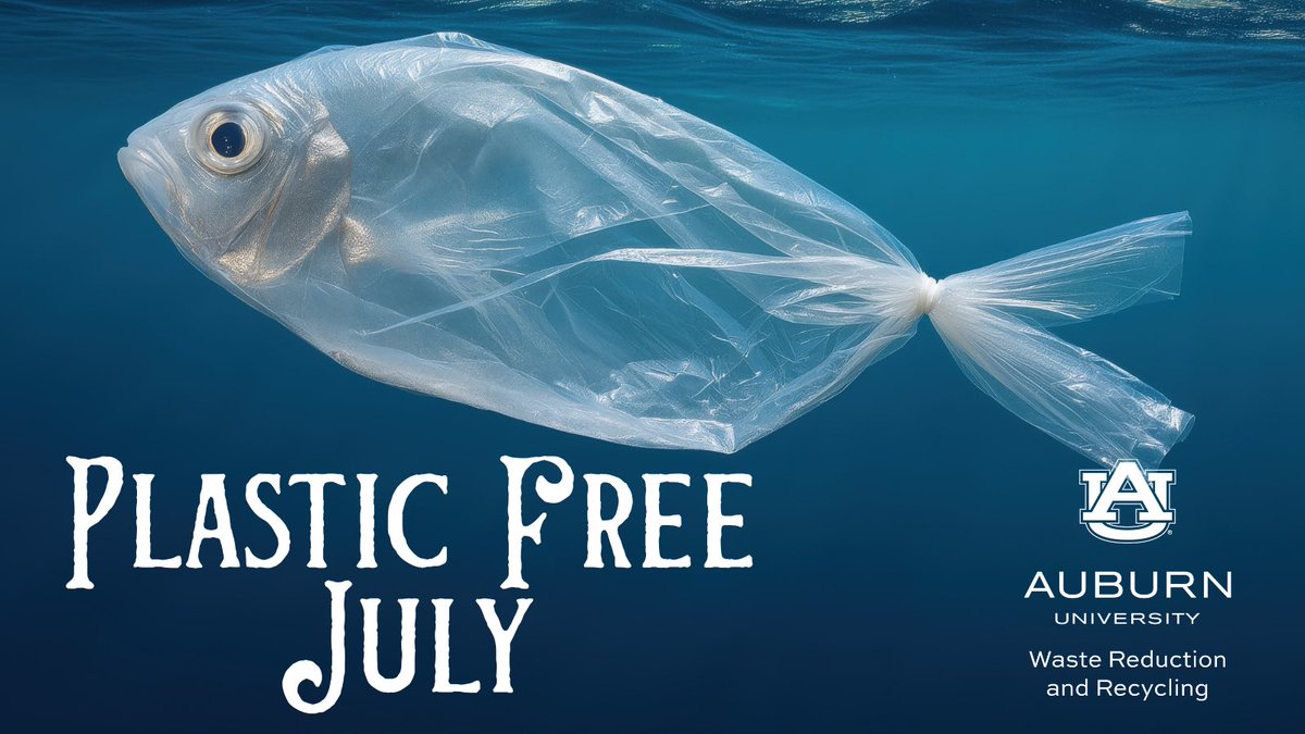 AU_Recycles's tweet photo. 🌎 It’s #PlasticFreeJuly! Every choice: carrying a reusable bottle or bag and saying no to single-use plastics, helps protect our oceans, wildlife and communities. Join millions around the world making simple changes to create a lasting impact. 💚♻️ #ChooseToReuse https://t.co/BrzXaOoxst