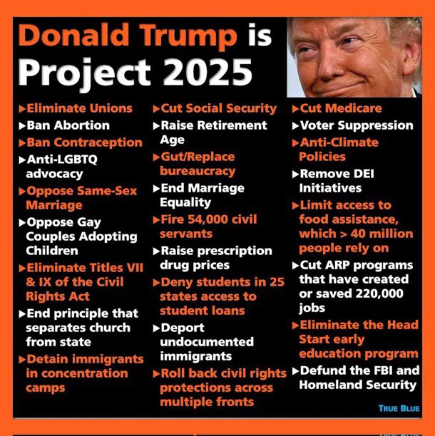 IMmissmellie's tweet photo. @Republicans Despite the Rapeublicans Party being completely taken over by an authoritarian government and Project 2025, America will undo the damage inflicted on this country by trump and his loyalists. https://t.co/2NSlfgzu0h