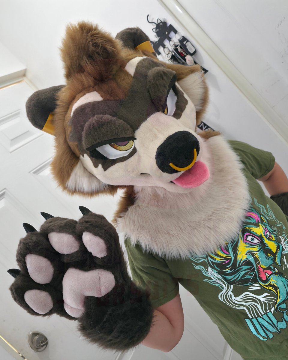 Chonky_Tiel's tweet photo. Sirio is done and in his home! 🇲🇽

This mini partial suit is the first raccoon we've made 🦝

Includes 
Head on foam base
Handpaws
And a tail 

Plus some 3D printed piercings

#Fursuit #Chonky_tiel_fursuits #Chonky_tiel_creations #FurryFandom #FursuitMaker #ChonkyTielCreations https://t.co/ZLsa79J3jF