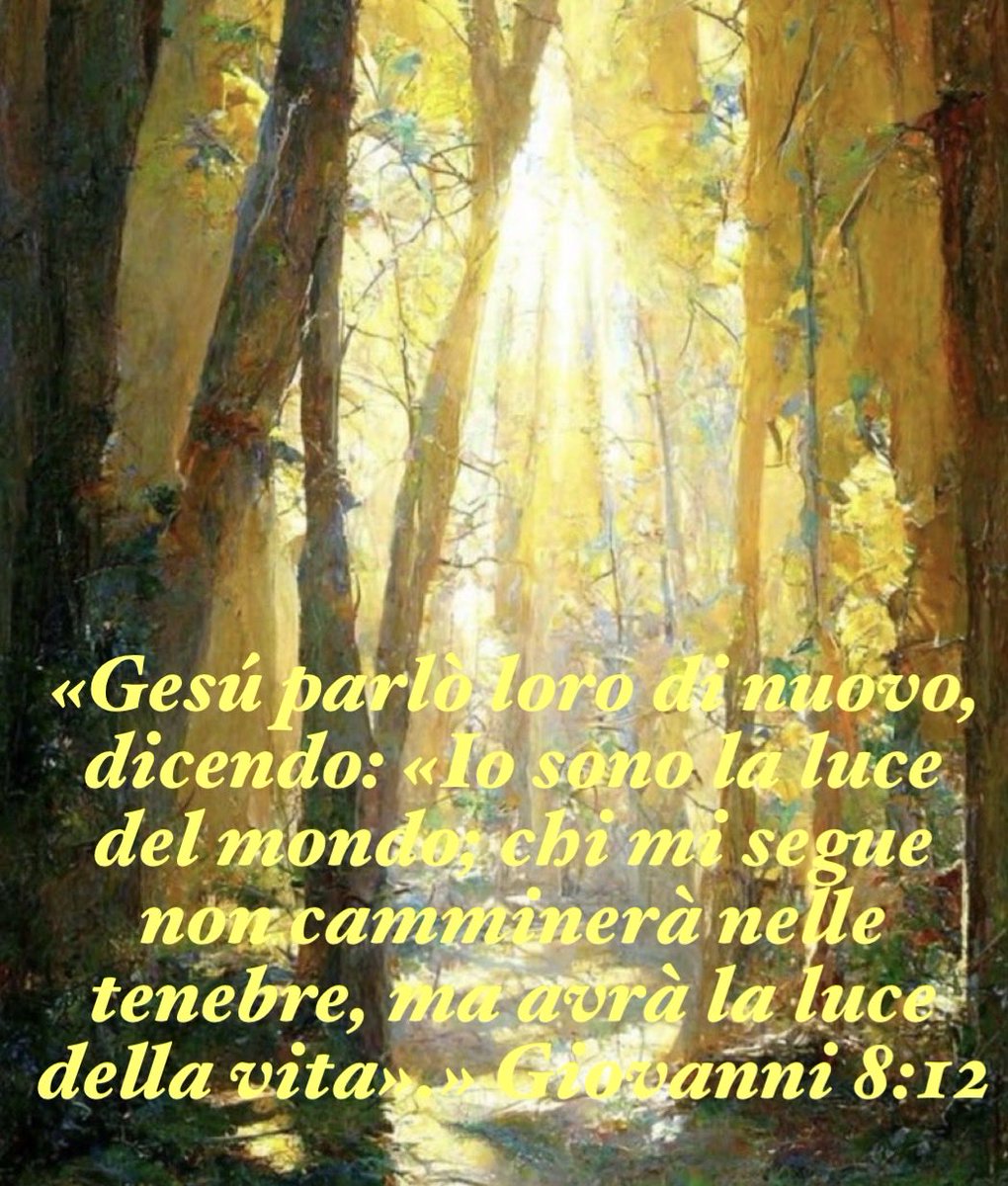 ArmandoSofia2's tweet photo. https://t.co/hlRXE5dBAP