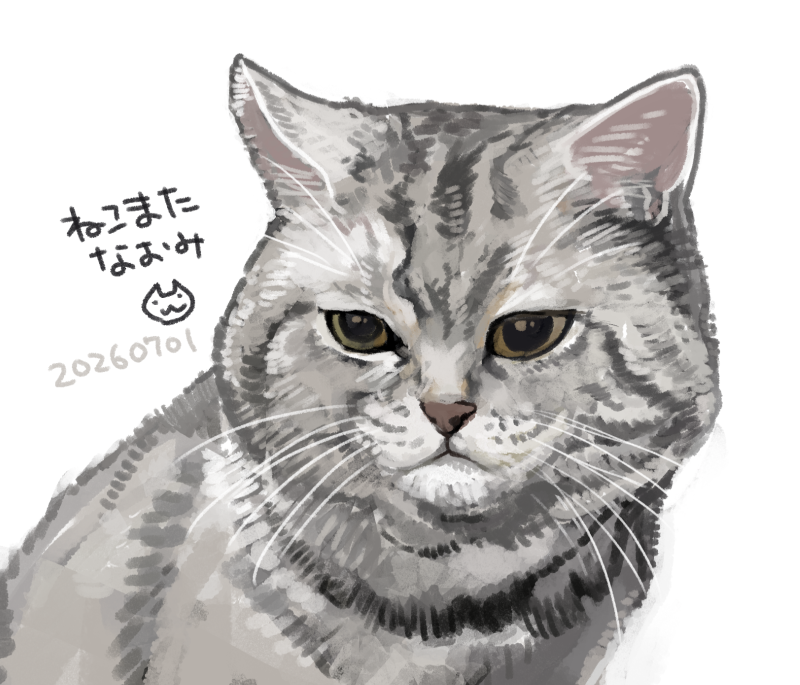 おたおめﾈｺﾁｬﾝ！