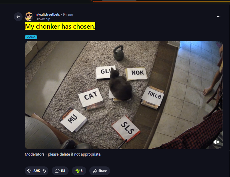 Somnicko's tweet photo. $WEN (Wendy's) is currently up a lot today because of this post in r/wallstreetbets of this cat named "Chonkers" choosing $WEN as the stock for everyone to buy

https://t.co/xFQdQ2iqpM

They've given the cat the nickname "Chonkers," which is so memeable, and it's literally shifting markets just like Roaring Kitty did.

The post is only 9 hours old and already has 2.8K upvotes.