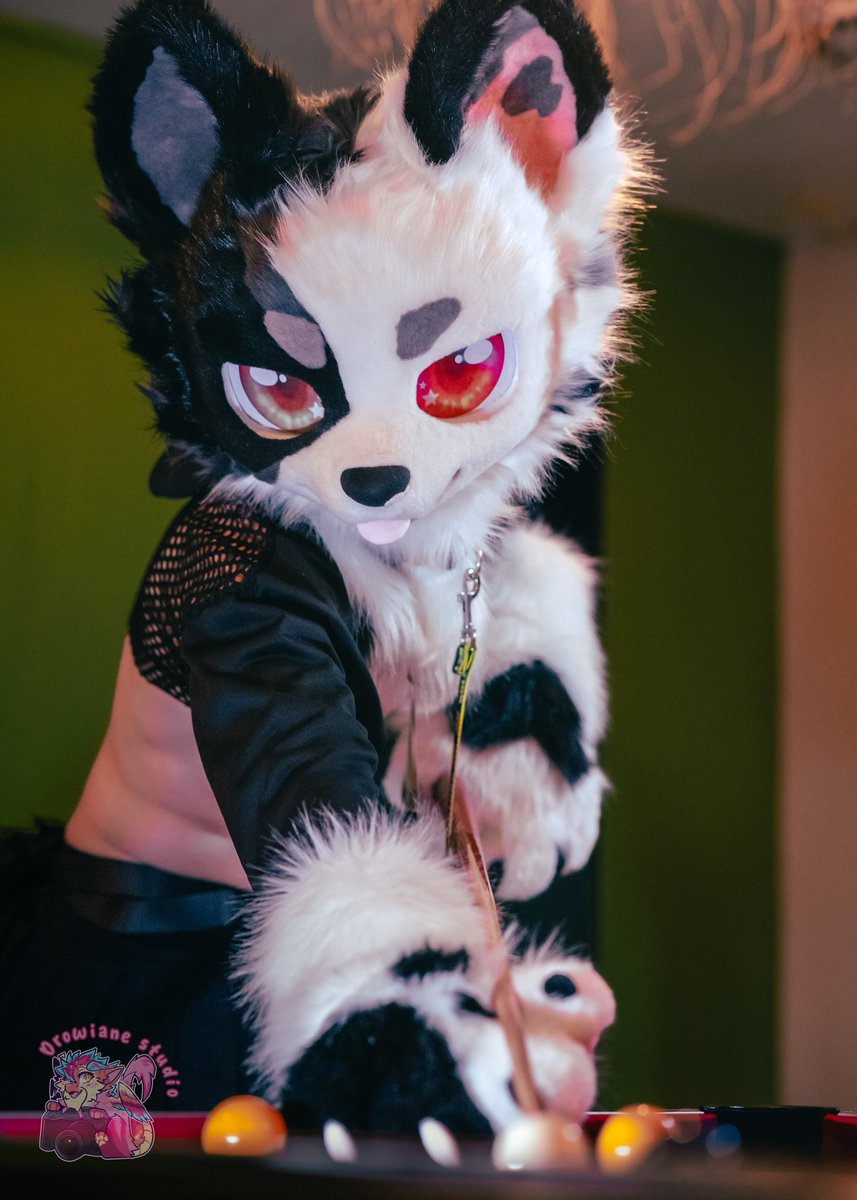 ad_drowi_ane's tweet photo. So you want to play with me 👀

| 🐾 @.peppermint | 🎉 @MkMontpellier 

#furry #fursuit https://t.co/Zrhj95eAtY