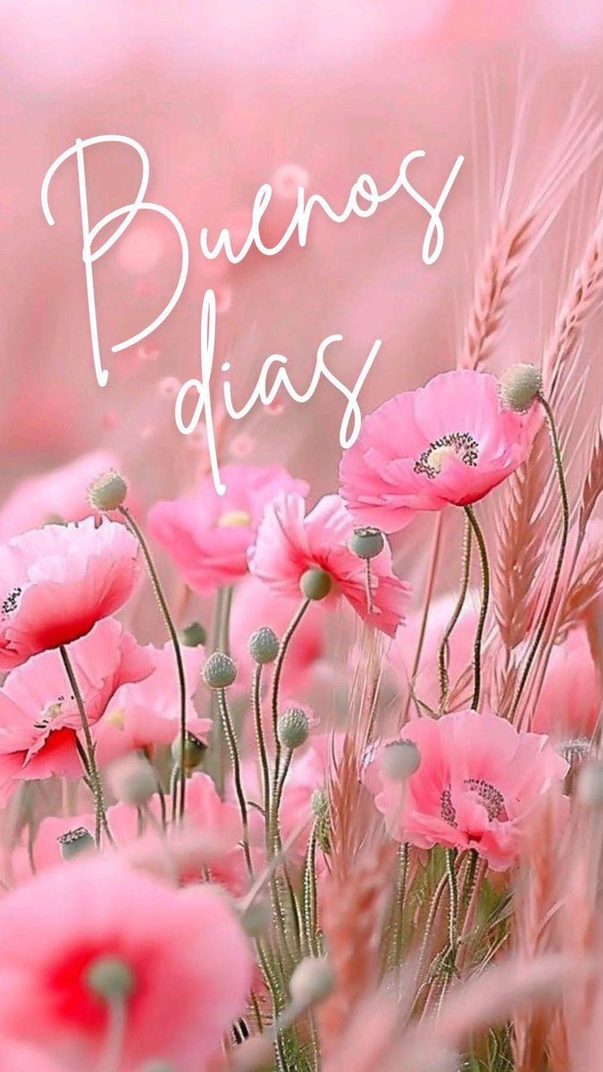 NormaYanina2's tweet photo. Buenos dias .🕊
Bendecido miercoles.✨️

@kitty_894 
@Martha_Elena16 
@Giro5O https://t.co/p1Xt4MpIlo