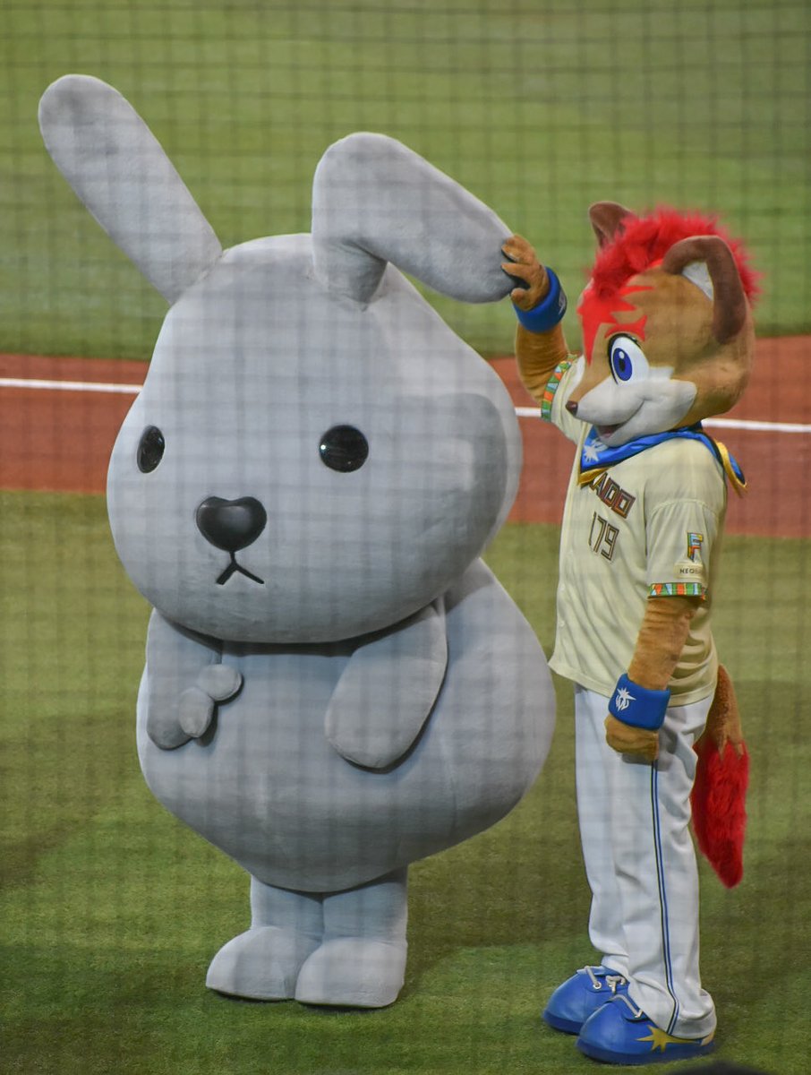 aka39034's tweet photo. よしよしされてるラッピー様😆 https://t.co/6gdiwMD3va