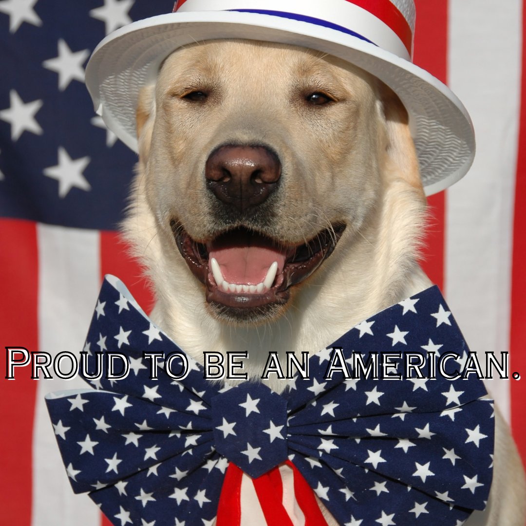 Burley_Electric's tweet photo. “We will stand by the right, we will stand by the true, we will live, we will die for the red, white, and blue.” ~ Unknown
🦅🌭 🍔Happy Independence Day and Happy 250th Birthday America! 🎆 🎇 🗽 https://t.co/le1yDzE8cp