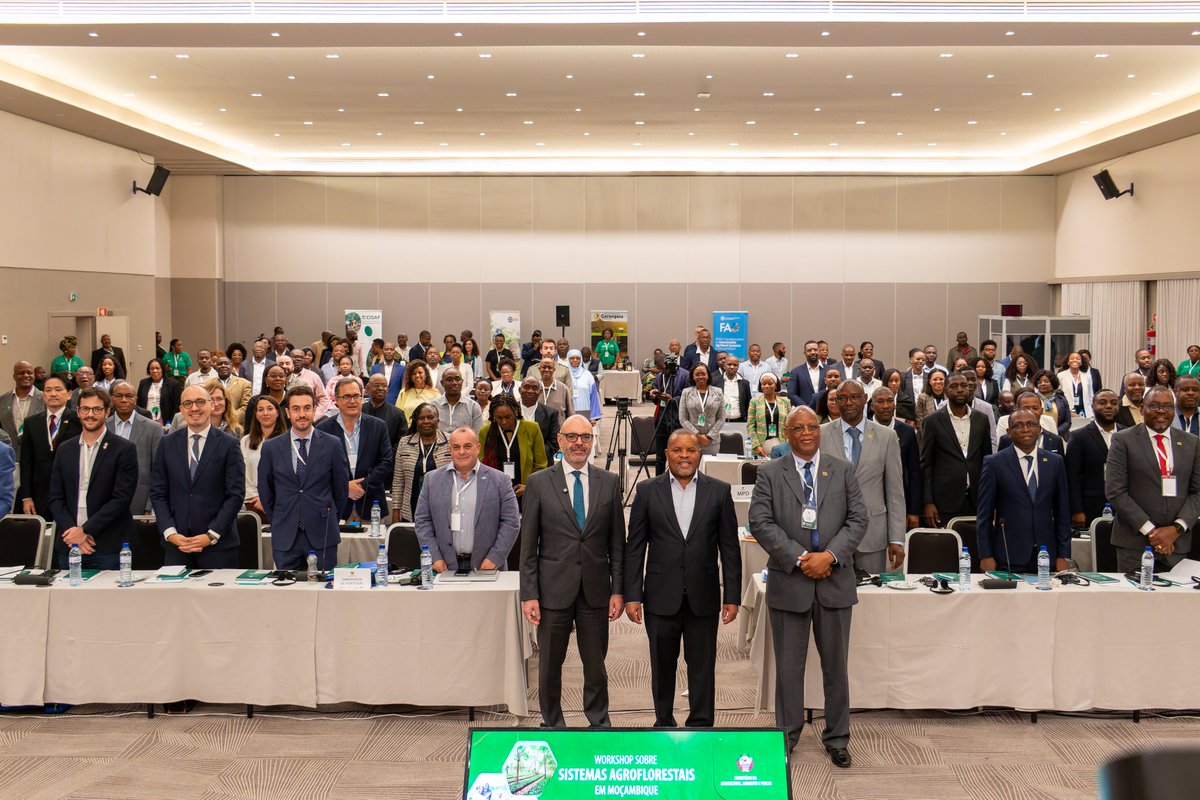 FAOMozambique's tweet photo. 🌱 #MAAP is convening a National Seminar on Agroforestry Systems to foster dialogue and strengthen collaboration for sustainable land use in Mozambique.

@FAO is contributing to the discussions with technical expertise &amp; practical field experience. 

#Agroforestry #ClimateAction https://t.co/7JIXnUBn9K