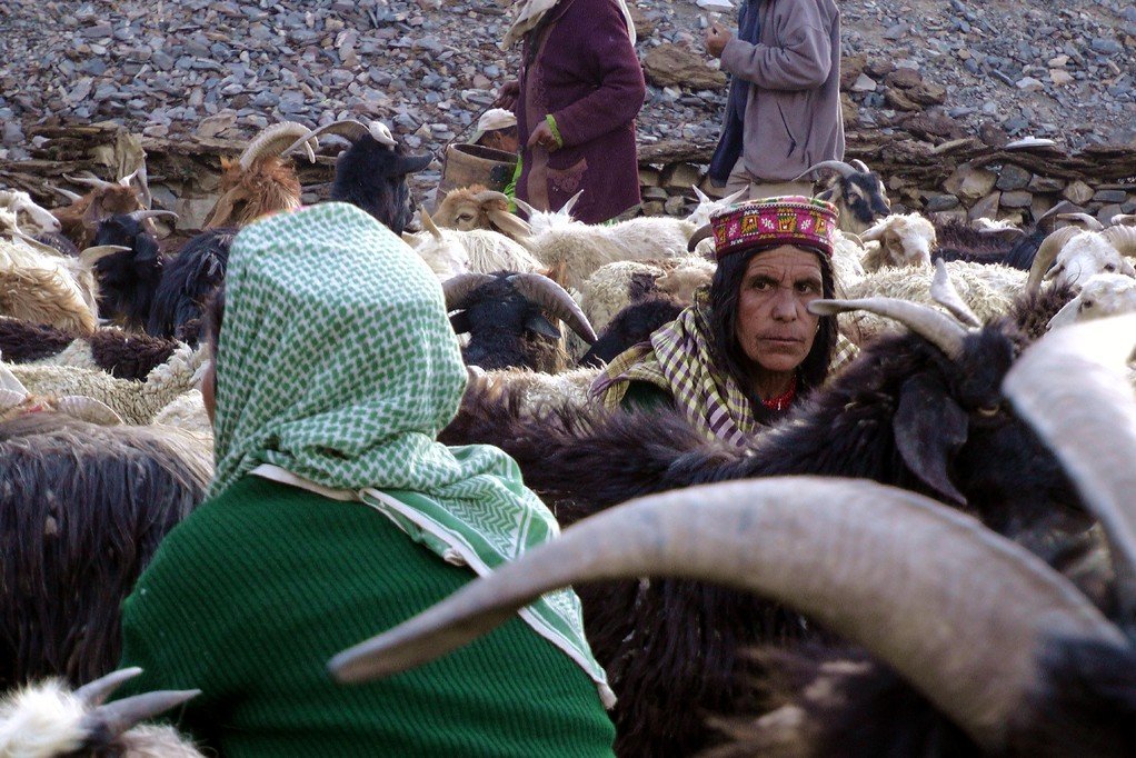 tsamolotoff's tweet photo. @_Plac3_hold3r @MrAntiHero1 Just about any small  pastoralist ethnic minority in mountainous parts of Kyrgyzstan, Tajikistan etc? If you spend a lot of time under sun in the mountains, you typically end up looking like this. https://t.co/JGq2xYUPFn