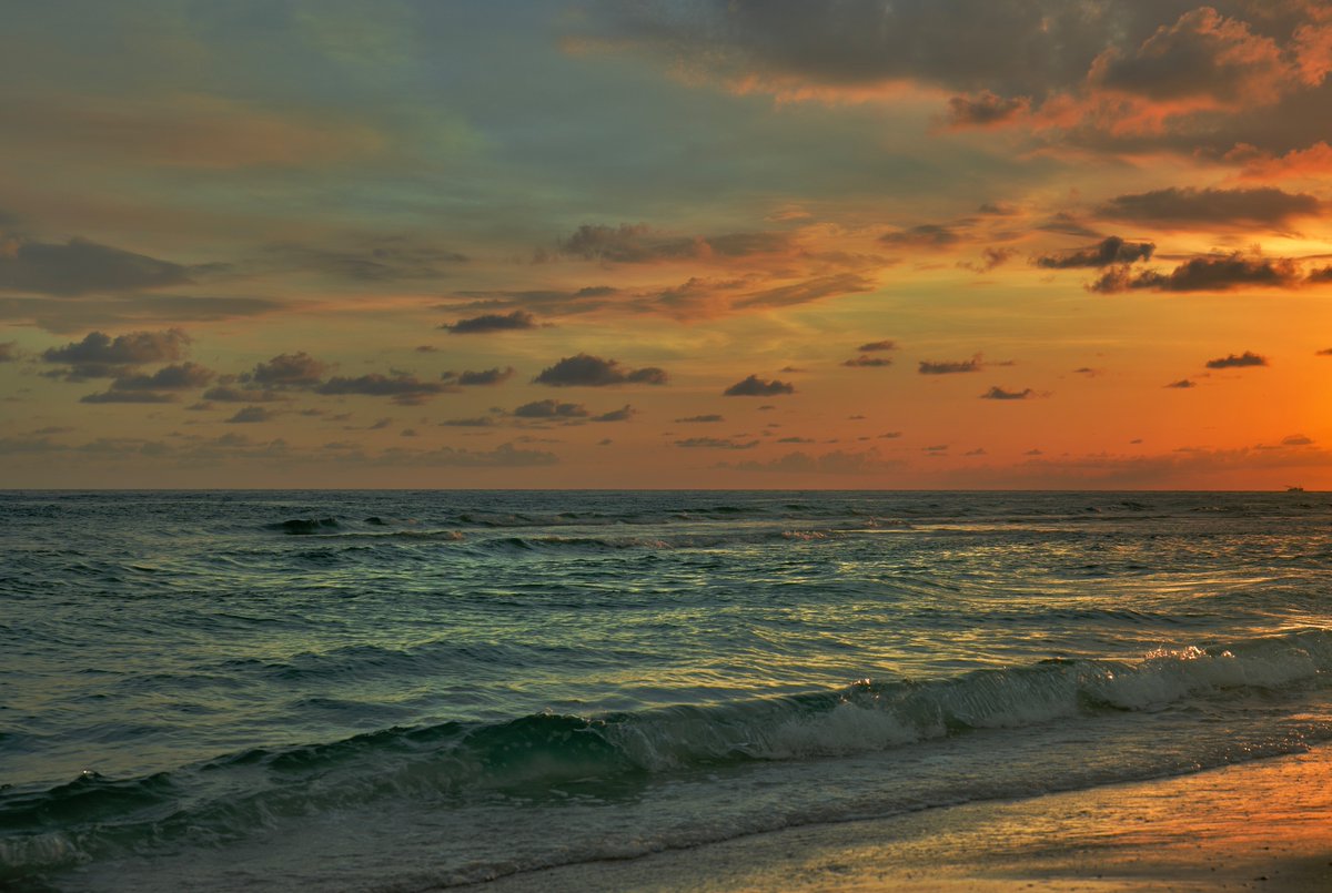 DeepGreens2's tweet photo. Evenings at the Beach #Photography #Florida #SiestaKey #BeachLife https://t.co/rO3CiAnVXZ
