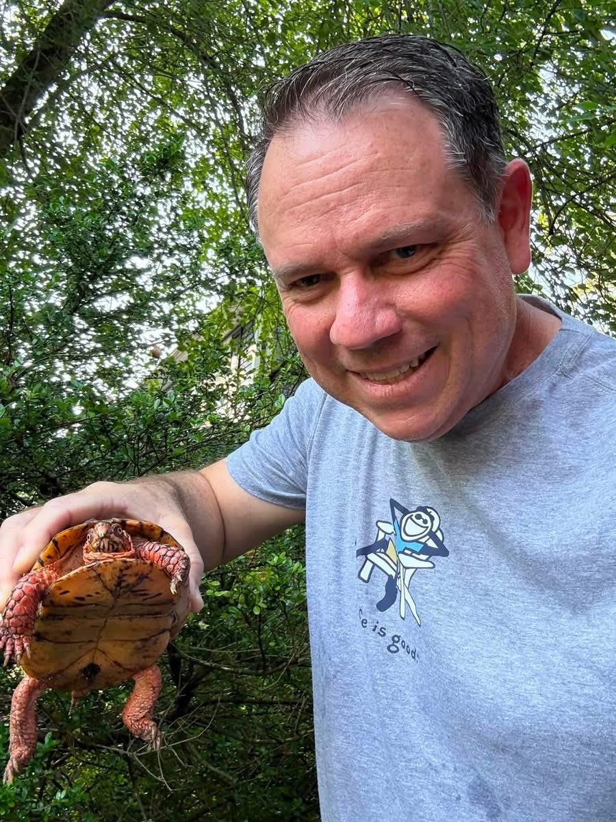 ChrissieM10's tweet photo. My husband saved this cute little guy from being squashed on our street this morning. Hero of the day. 🥰 https://t.co/gPDUXTsRGT