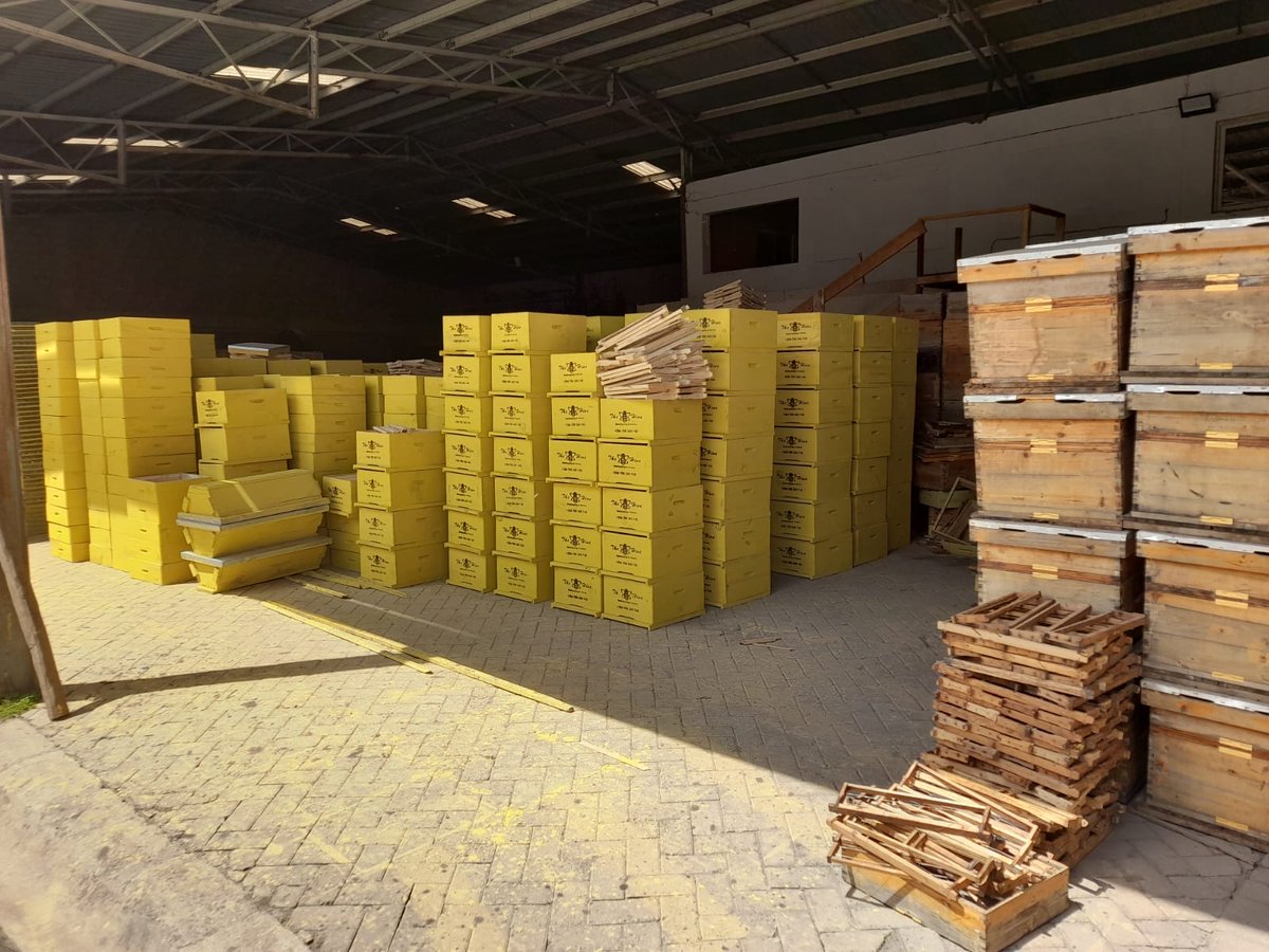 TheHiveLimited's tweet photo. We also offer beekeeping training, colony management, honey harvesting & beekeeping equipment.
📞 +254 706 349 748
📧 beekeepers@thehive.co.ke
🌐 https://t.co/I3oHvx0seZ
#Beekeeping #Honey #TheHiveKenya #Agribusiness #SustainableFarming https://t.co/9PQxB4fqOz