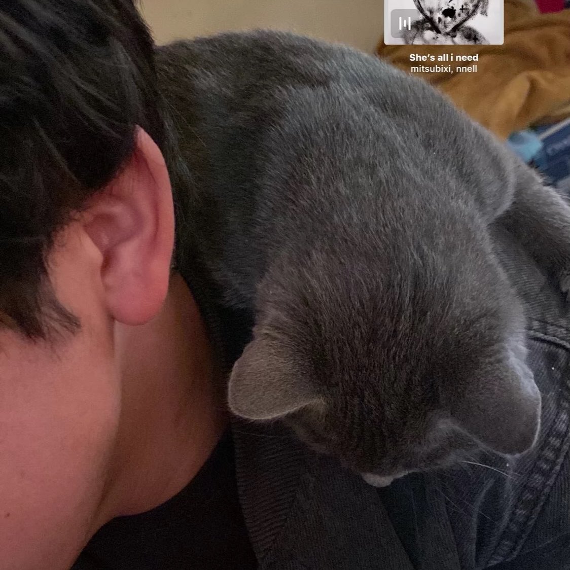 WHYLENN_'s tweet photo. Solo somos mi gato y yo contra nuestras ganas de vivir https://t.co/7rVAa9Ljox