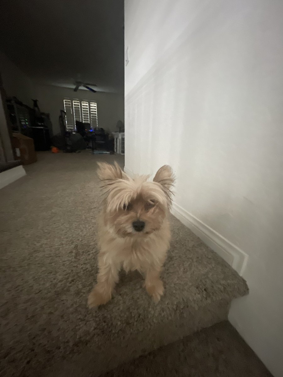 AsianManZan's tweet photo. forgot to post my baby on june 28 for her birthday so here u go :) https://t.co/gZu1l491ZG