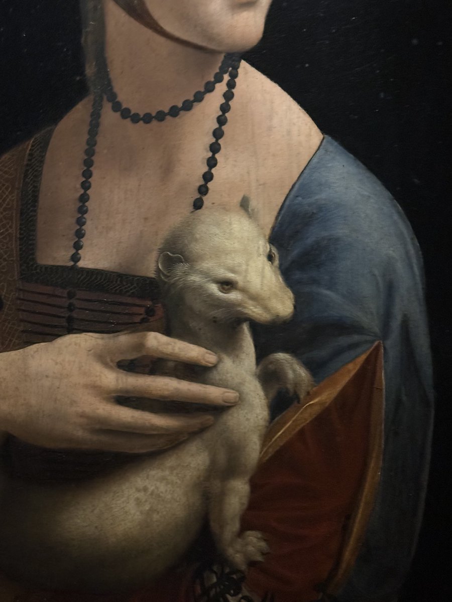 MilovanCavor's tweet photo. La salle de la Dame à l’hermine au musée Czartoryski à Cracovie: à couper le souffle ! https://t.co/ie9lFndvcB