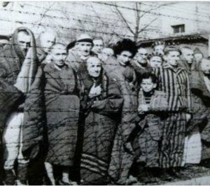 Nasyonalizm40's tweet photo. Yıllar önce hitler Yahudileri toplama kamplarına yollayıp büyük soykırım işledi ve Almanya'ya bunları yaptığı için Canavar! dendi ve milyonlarca yahudi öldü hitler suçlu olarak kabul edildi ama günümüzde İsrail e şöyle bir bakınca Hitler ke��ke hepsini öldürseydi diyoruz... https://t.co/ShcIyCyPJU