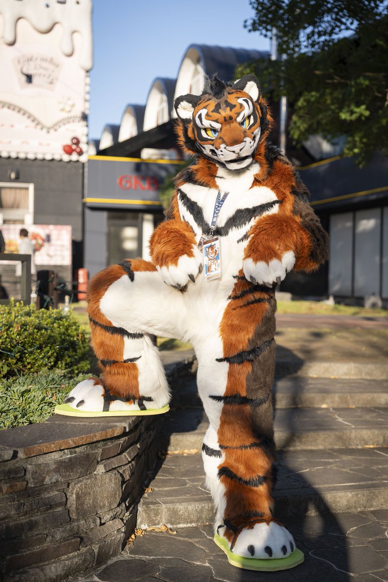 Alextiger2020's tweet photo. 😸hehehe https://t.co/KQIZ9jUZqX