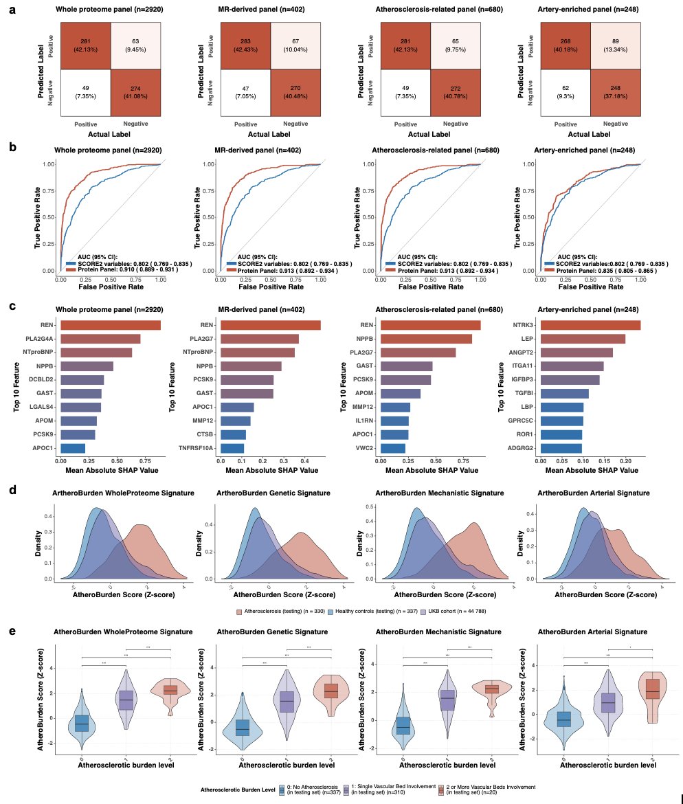 MariosGeorgakis's tweet photo. We describe the development of 4 Olink-based scores that

👉 discriminate prevalent clinically diagnosed atherosclerotic disease
👉 change according to the number of clinically affected vascular beds
👉 are associated with carotid ultrasound–measured plaque burden https://t.co/2EuXlePEWw