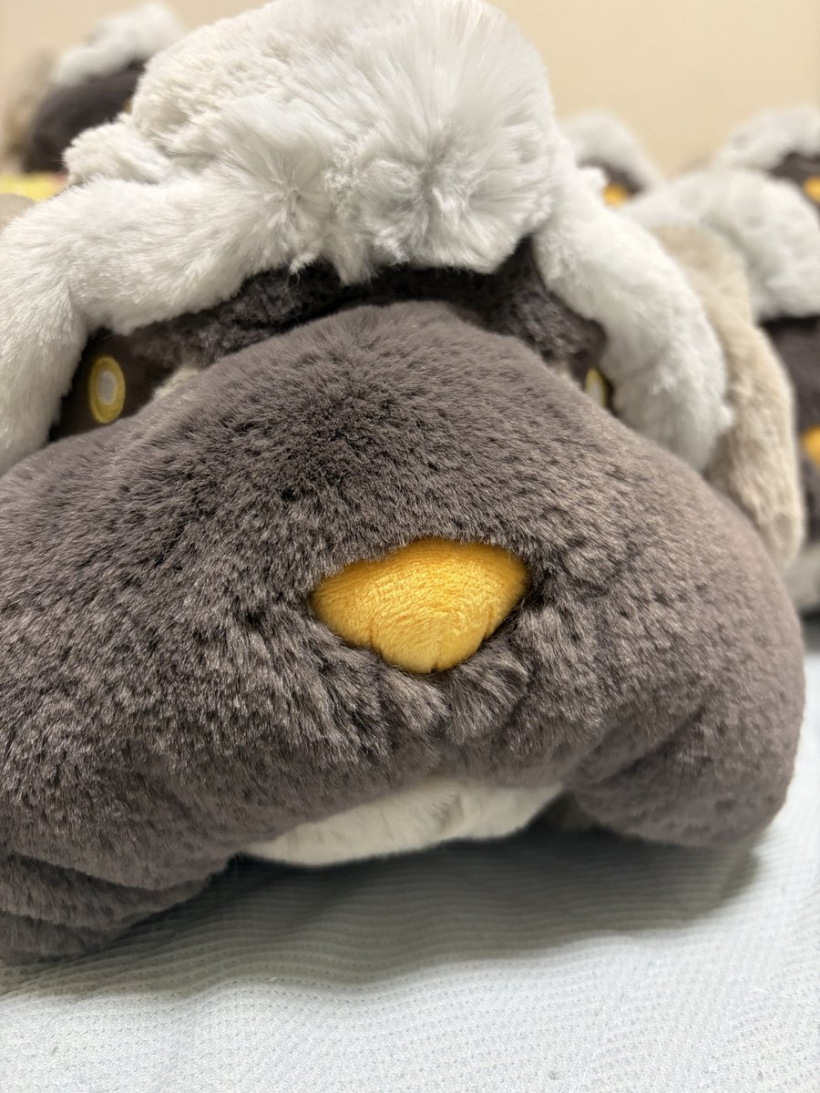LALAffy's tweet photo. ただいま‼️20人目のマフィティフです🐶ついに20…一体どれだけ兄妹が増えるのか。もう飼い主は床で寝ます💤

#マフィティフ
#ポケモンと生活
#ポケモンぬい撮り https://t.co/yLTqWuIOwh