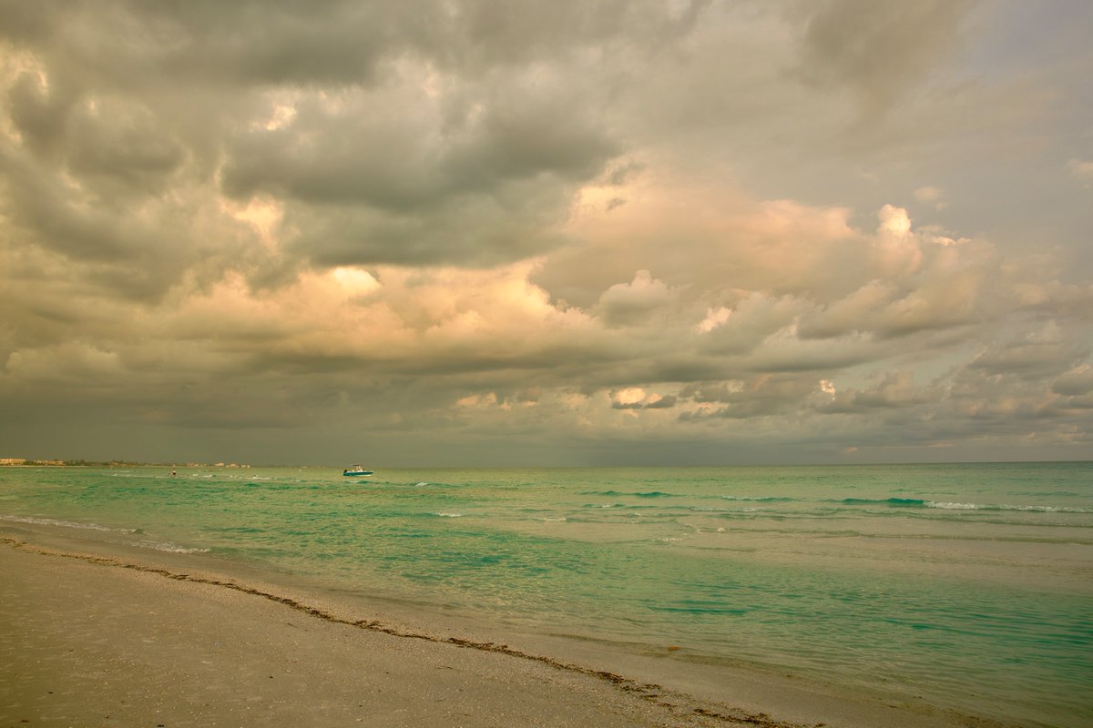 DeepGreens2's tweet photo. Evenings at the Beach #Photography #Florida #SiestaKey #BeachLife https://t.co/rO3CiAnVXZ