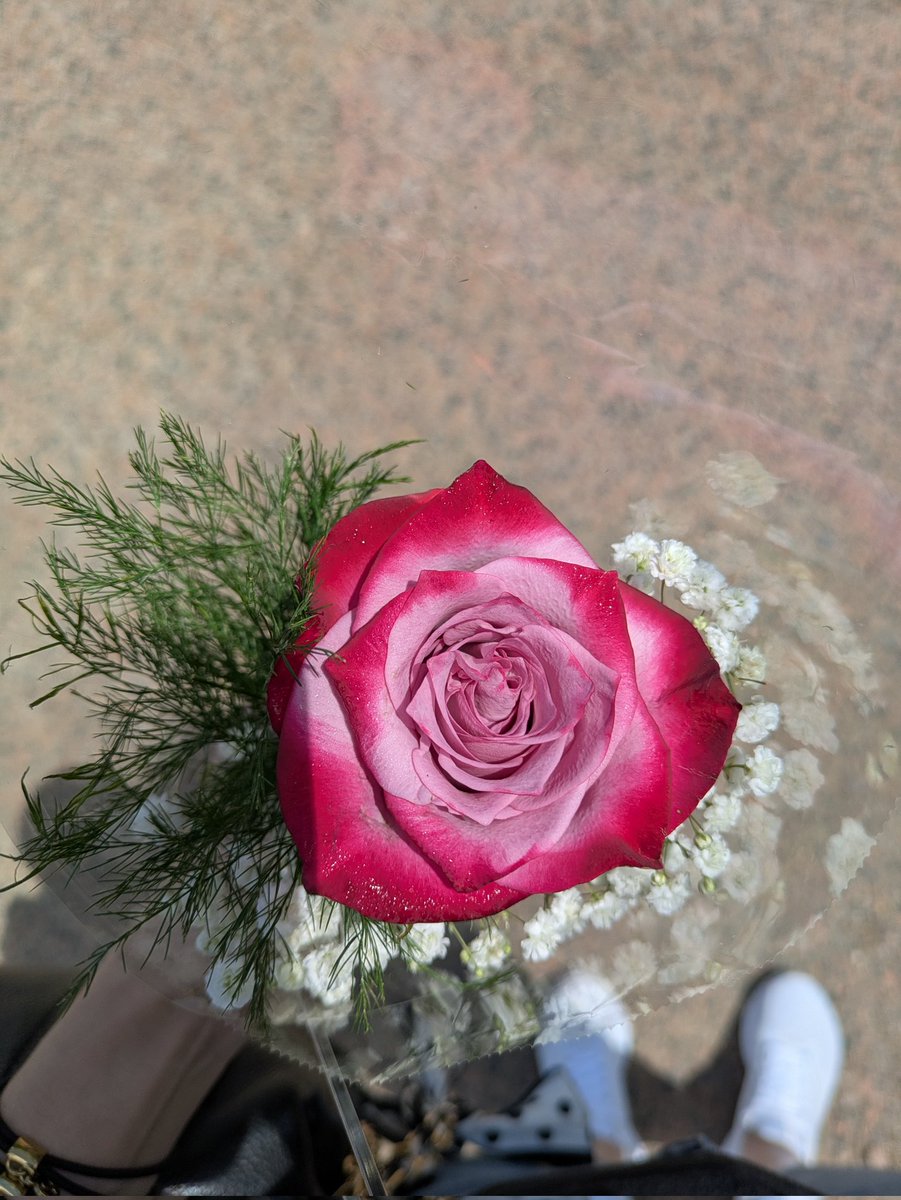therealjimbobo's tweet photo. 💕 https://t.co/XJScbjPPeO