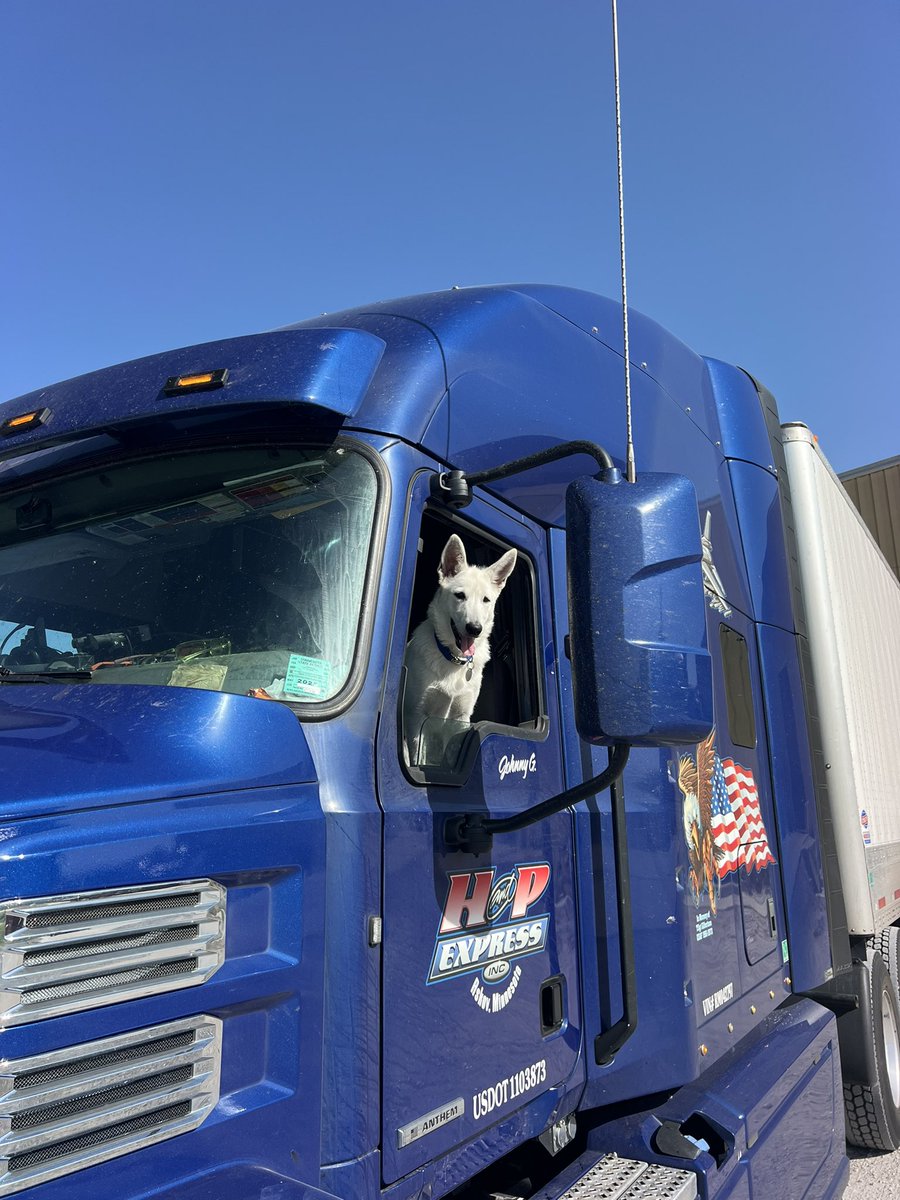 TJandCasper's tweet photo. Traveller and I wish you all a happy July 1 https://t.co/59yvZeiNpW