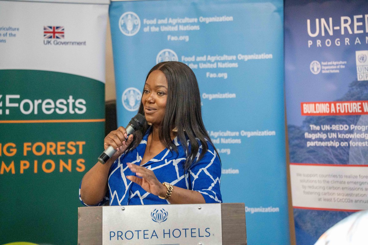 FAOZambia's tweet photo. 🌳 How can Zambia unlock more finance for forests while protecting communities and reducing deforestation?

Today’s @FAO dialogue discussed forest finance, monitoring, governance and community benefits - connecting climate action with people and forests. 🇿🇲
@unredd @OpenForis https://t.co/qinUsjelee